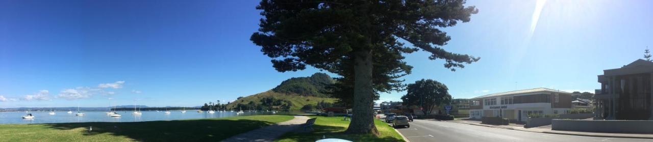 Westhaven Motel Tauranga Exteriör bild