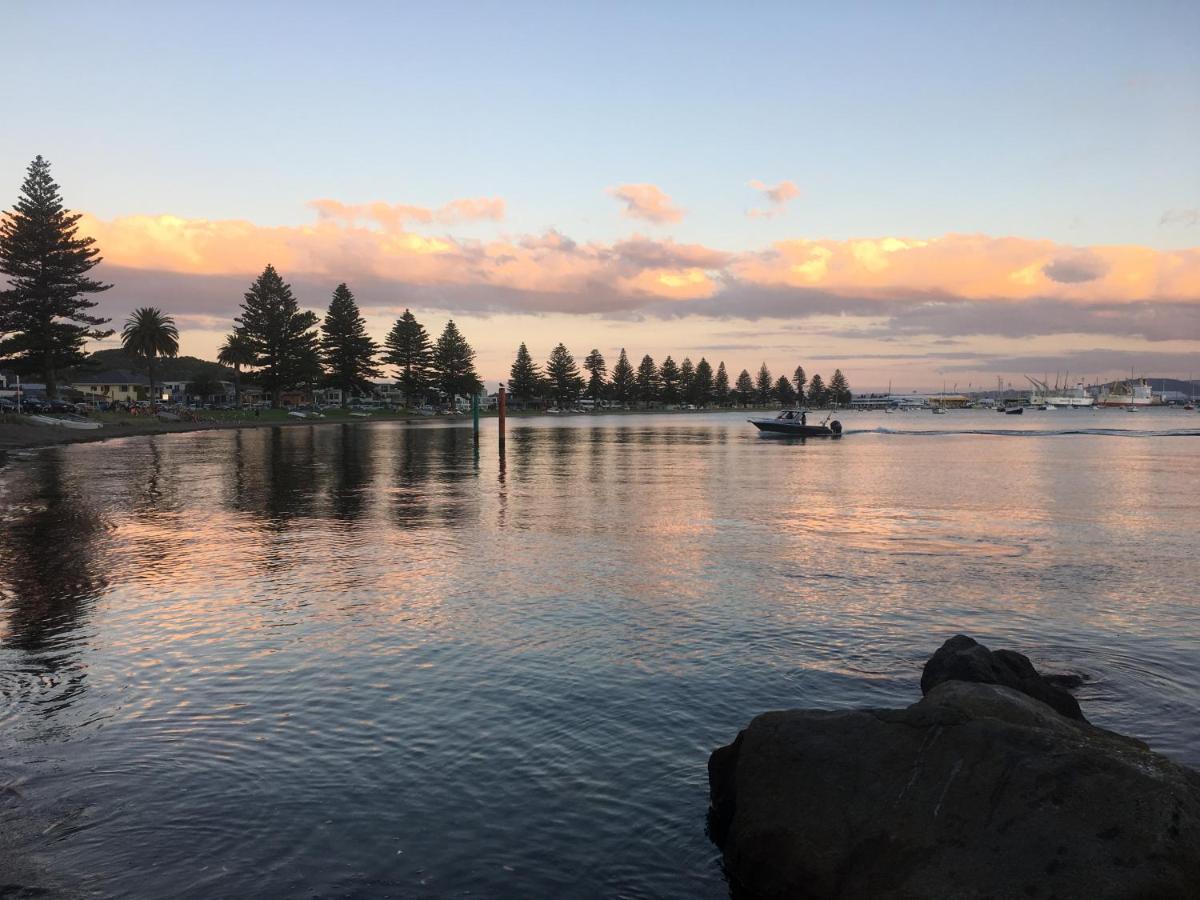 Westhaven Motel Tauranga Exteriör bild